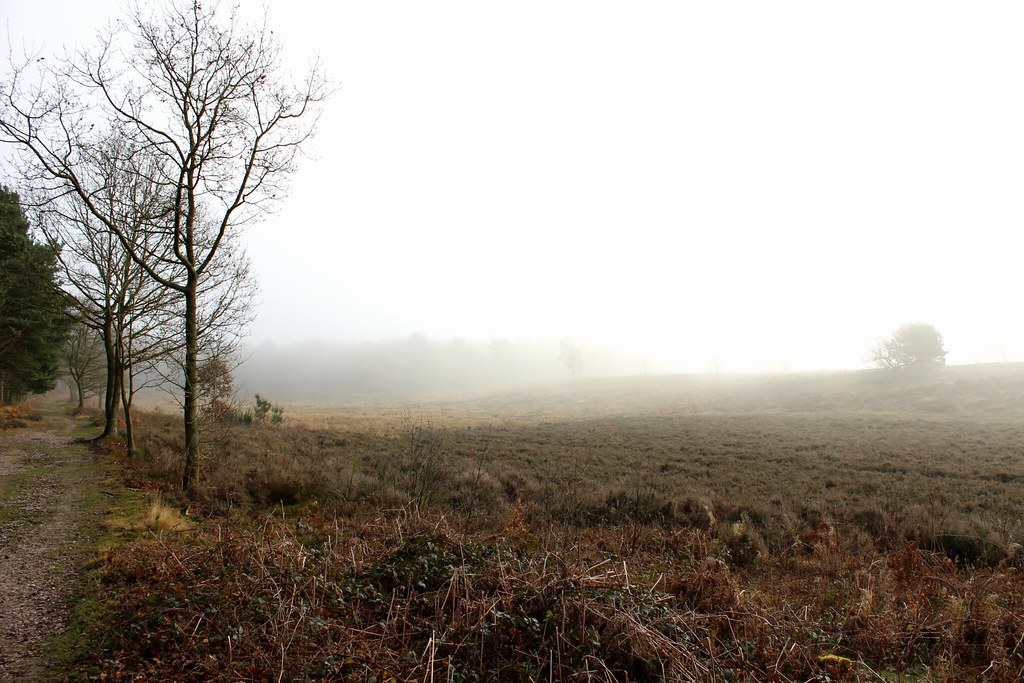 Winter Morning