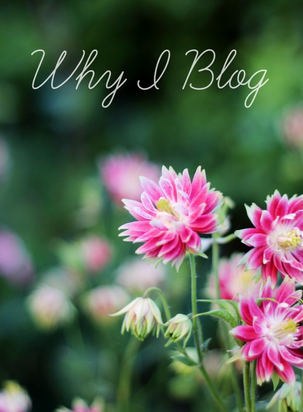 Why I Blog